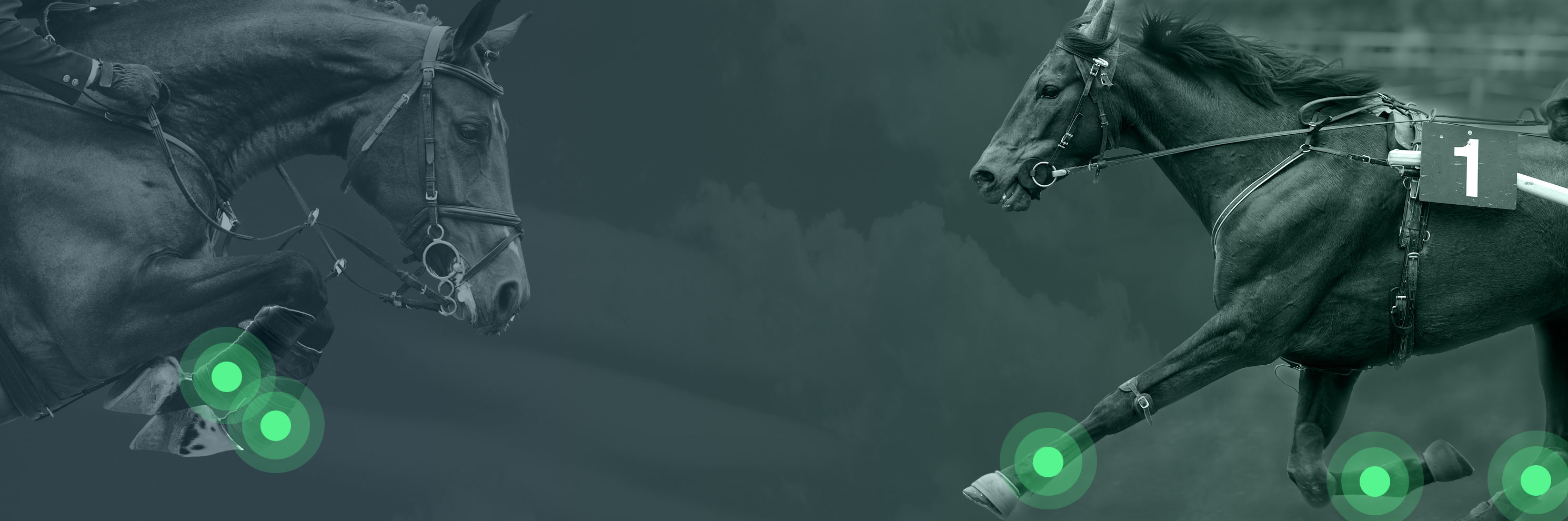 Wearable Motion Analysis Horseteq